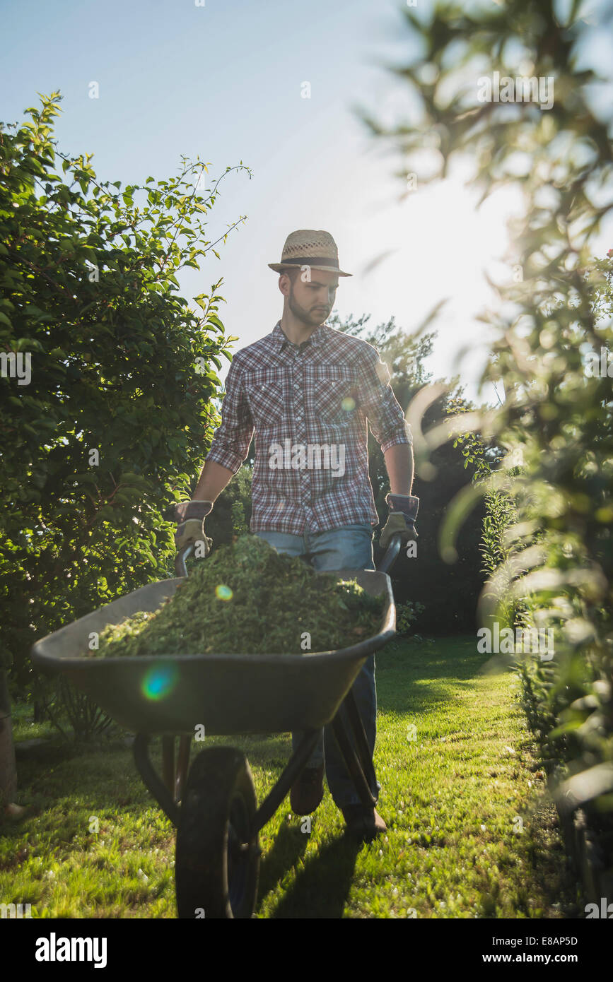 Gärtner mit Schubkarre Rasen schneiden Stockfoto