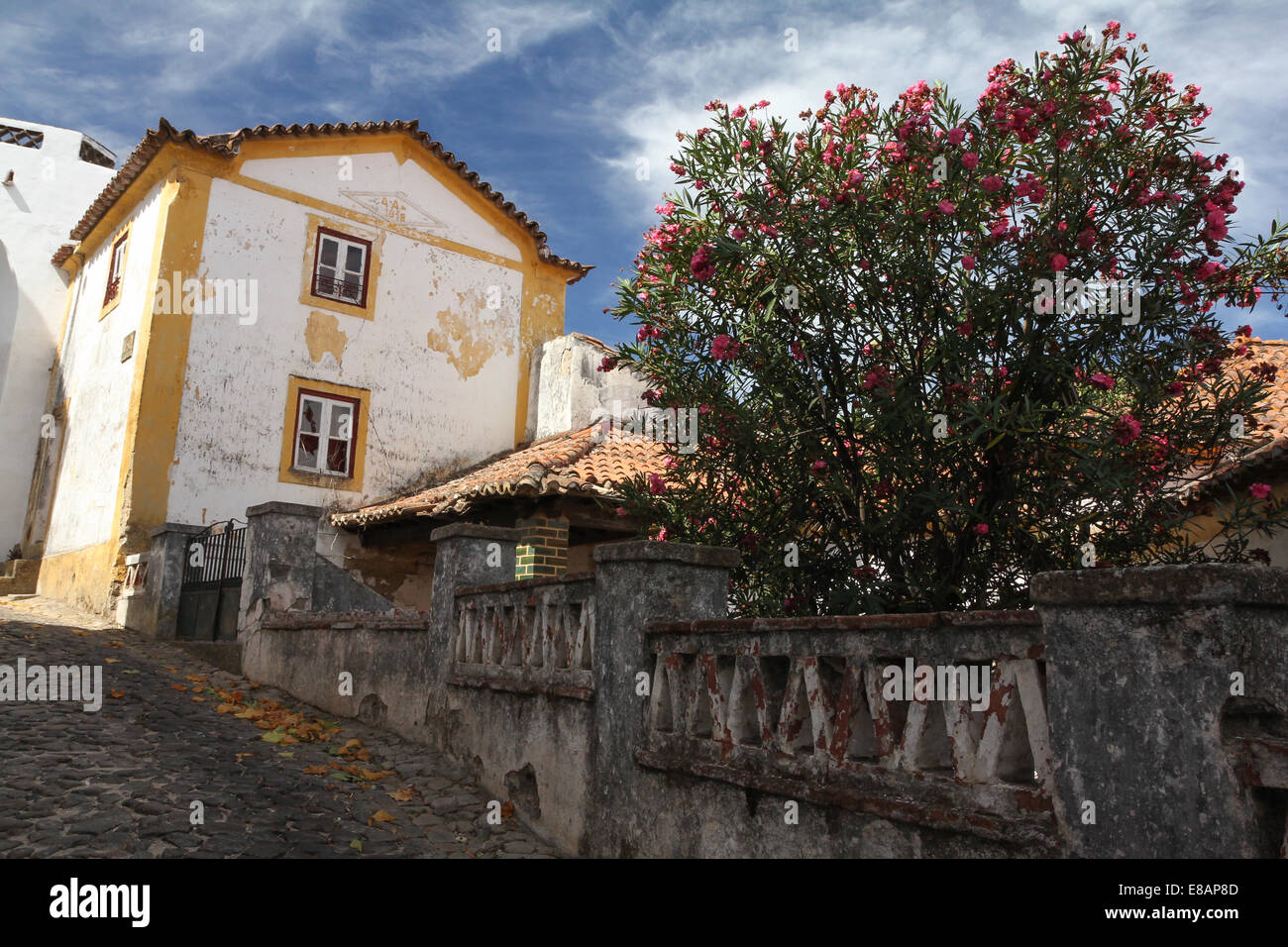 Alte Straßen von Castelo de Vide in Portugal. Stockfoto