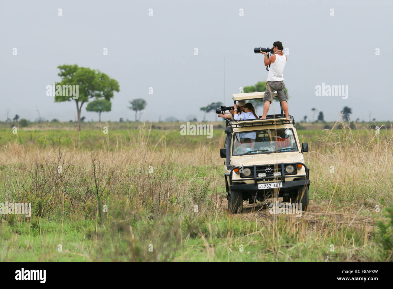 Gruppe von Fotografen eine Safari im Mikumi National Park in Tansania. Stockfoto