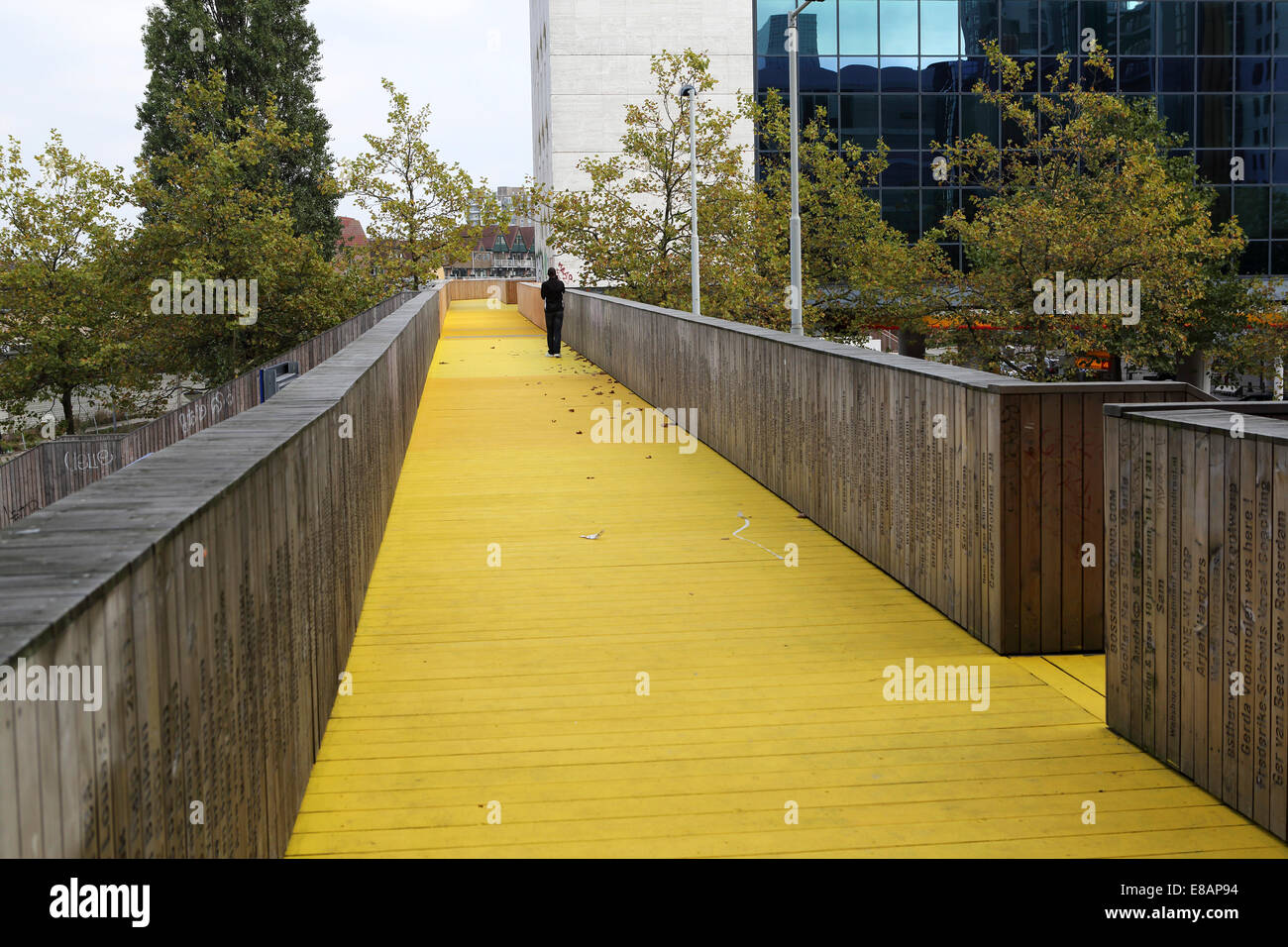 Die Luchtsingel, eine 390m lange Holzbrücke, in Rotterdam, Niederlande. Die Brücke trägt dazu bei, ein neues Leben einzuhauchen laufen Stockfoto