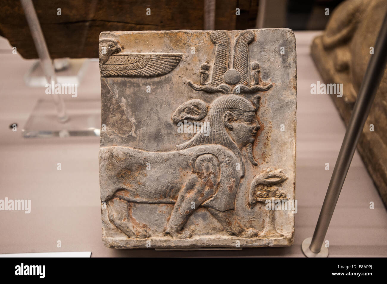 Italien Piemont Turin ägyptische Museum Tutu ein Hybrid-Mensch - headed Löwe mit einer Rams Kopf projizieren, von der Rückseite des Halses Stockfoto