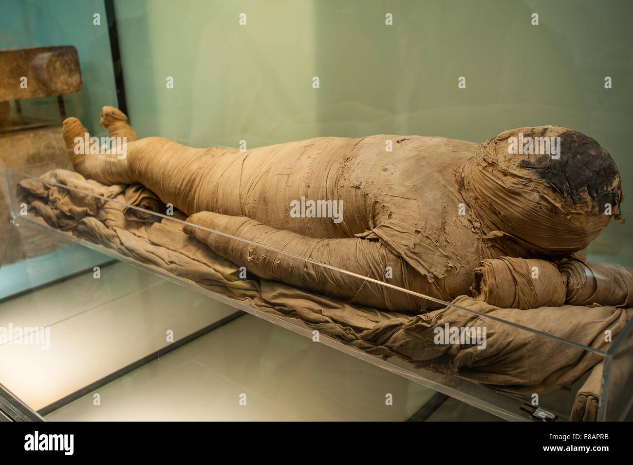 Italien Piemont Turin ägyptische Museum Mumie Stockfoto