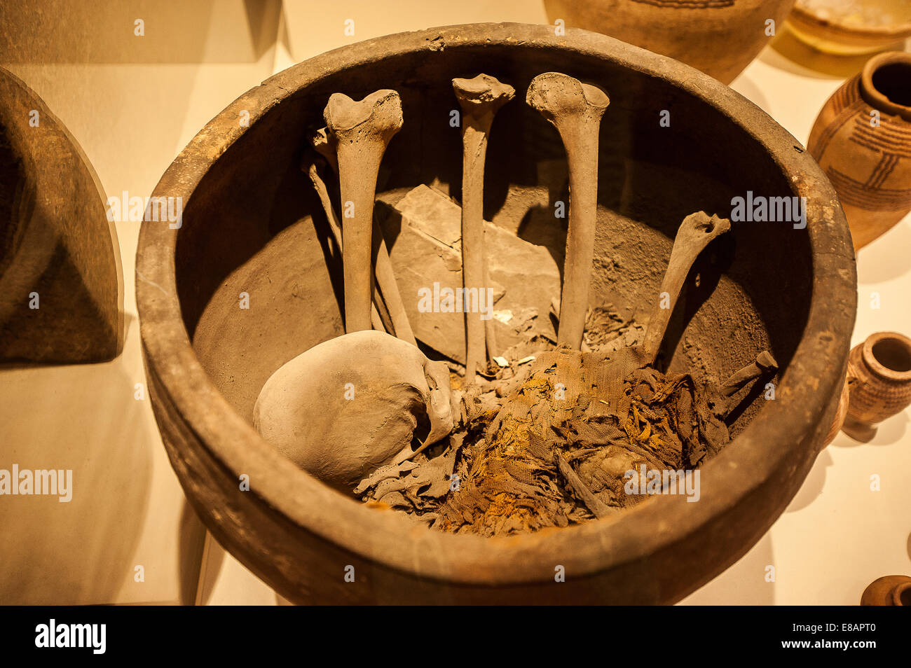 Italien Piemont Turin ägyptische Museum Raum der prädynastischen Periode. Bestattung Vase. Diese Terrakotta-Vase enthält die Knochen von einem dece Stockfoto