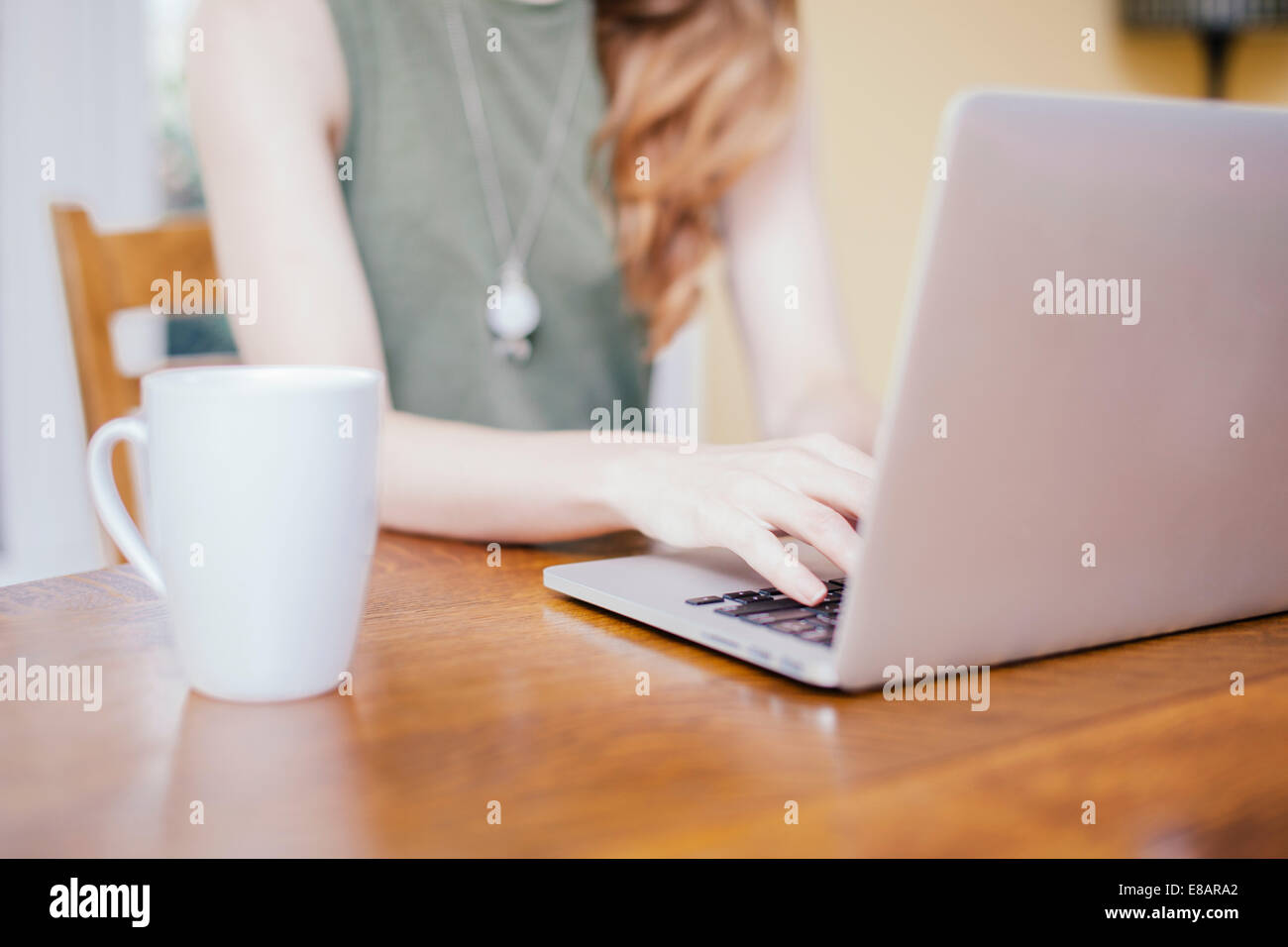 Aufnahme der jungen Frau, die Eingabe auf Laptop am Esstisch beschnitten Stockfoto