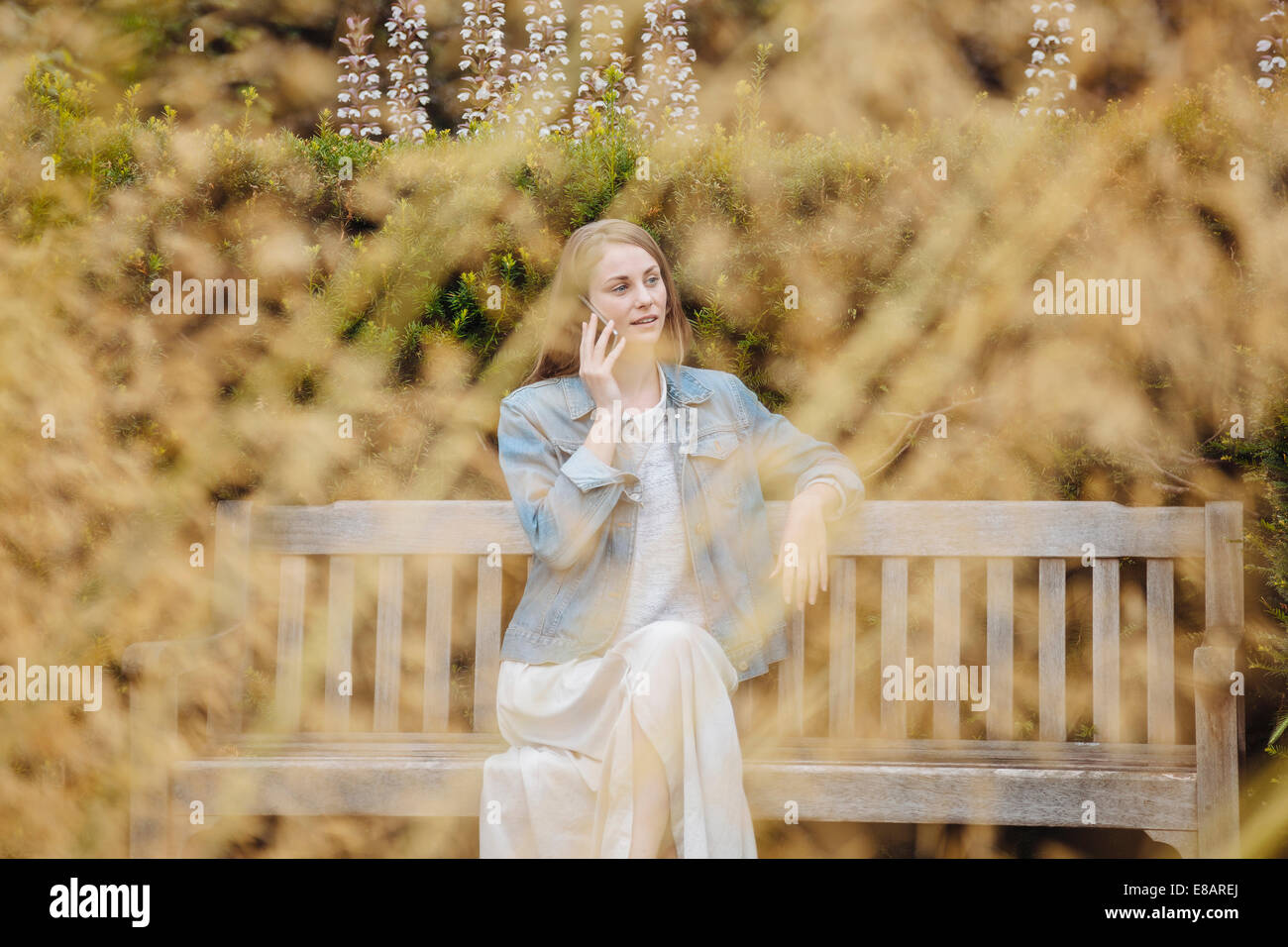 Junge Frau sitzt am Park Bench im Chat auf Smartphone im park Stockfoto
