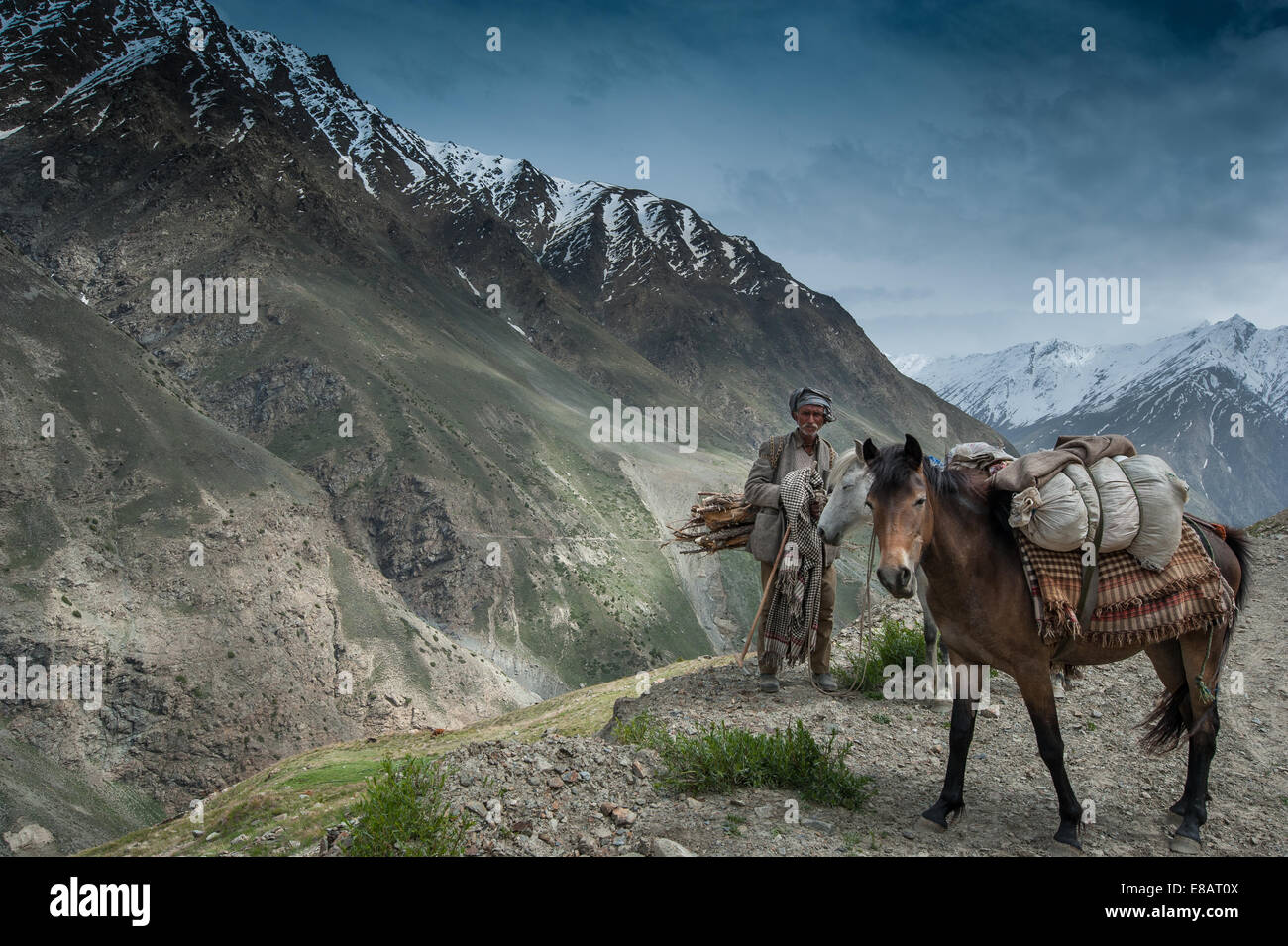Berg-Nomaden ist unsere für Herden leben mit Pferden Stockfoto