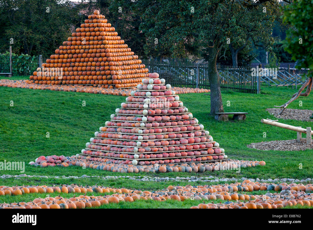 Kürbisse Farm, Kürbisse in Form einer Pyramide gestapelt Stockfoto