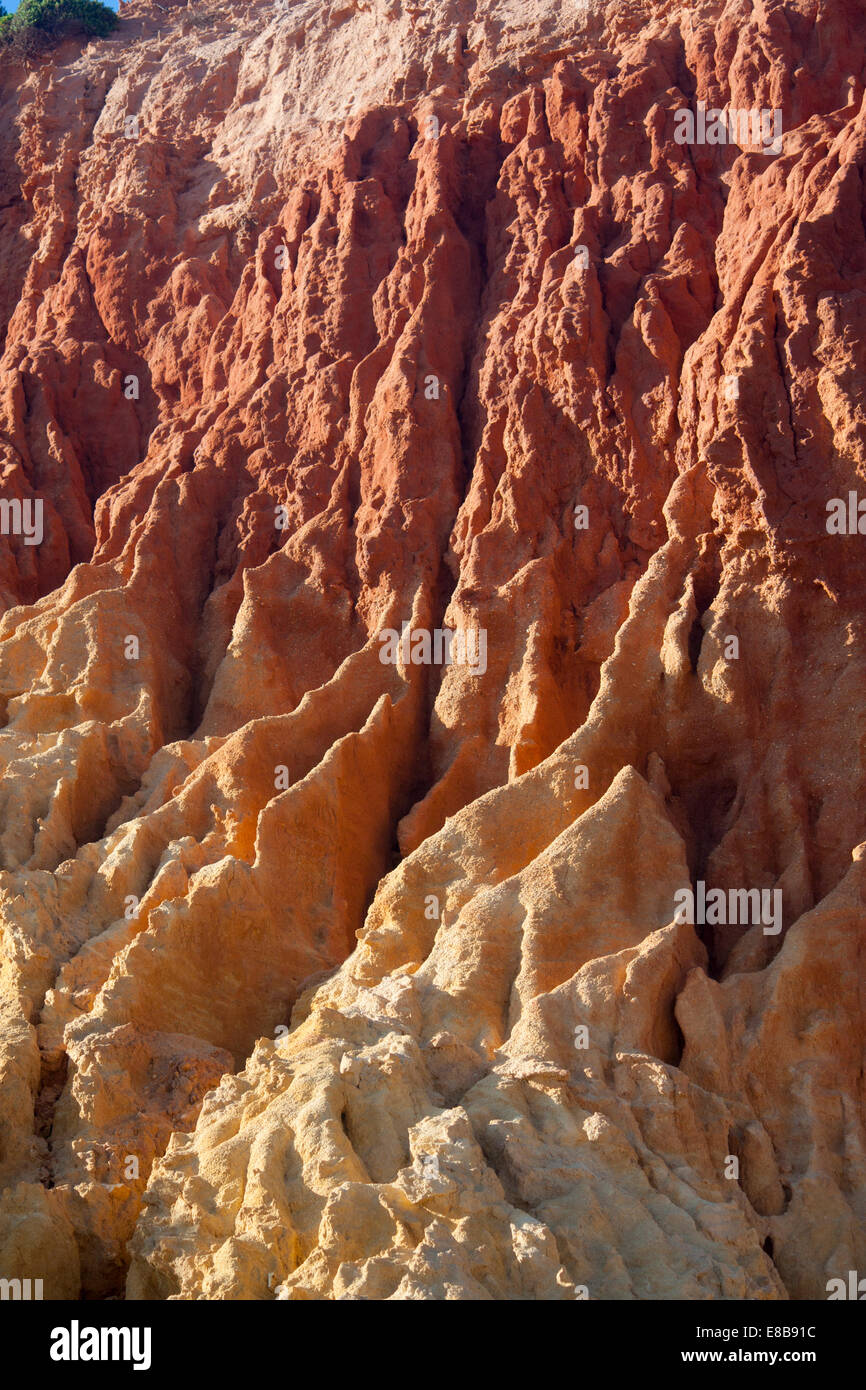 Ockerfarbenen Felsen Bildung Erosion der Felsen verursacht durch Kanäle läuft Regenwasser Praia Tonel Sagres Algarve Portugal Stockfoto