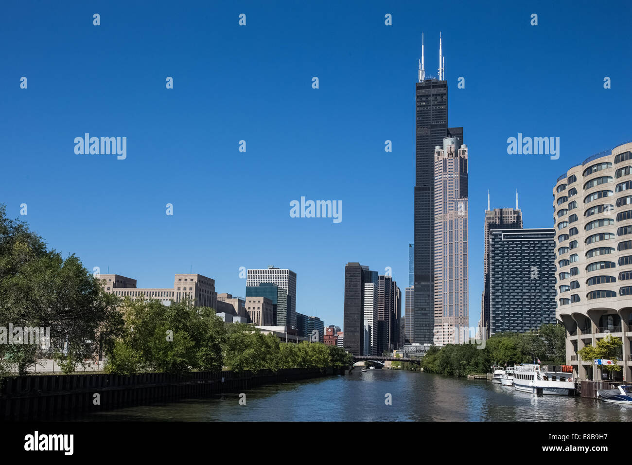 Verschiedenen Chicago Wolkenkratzer einschließlich der Willis Tower (früher Sears Tower). Stockfoto