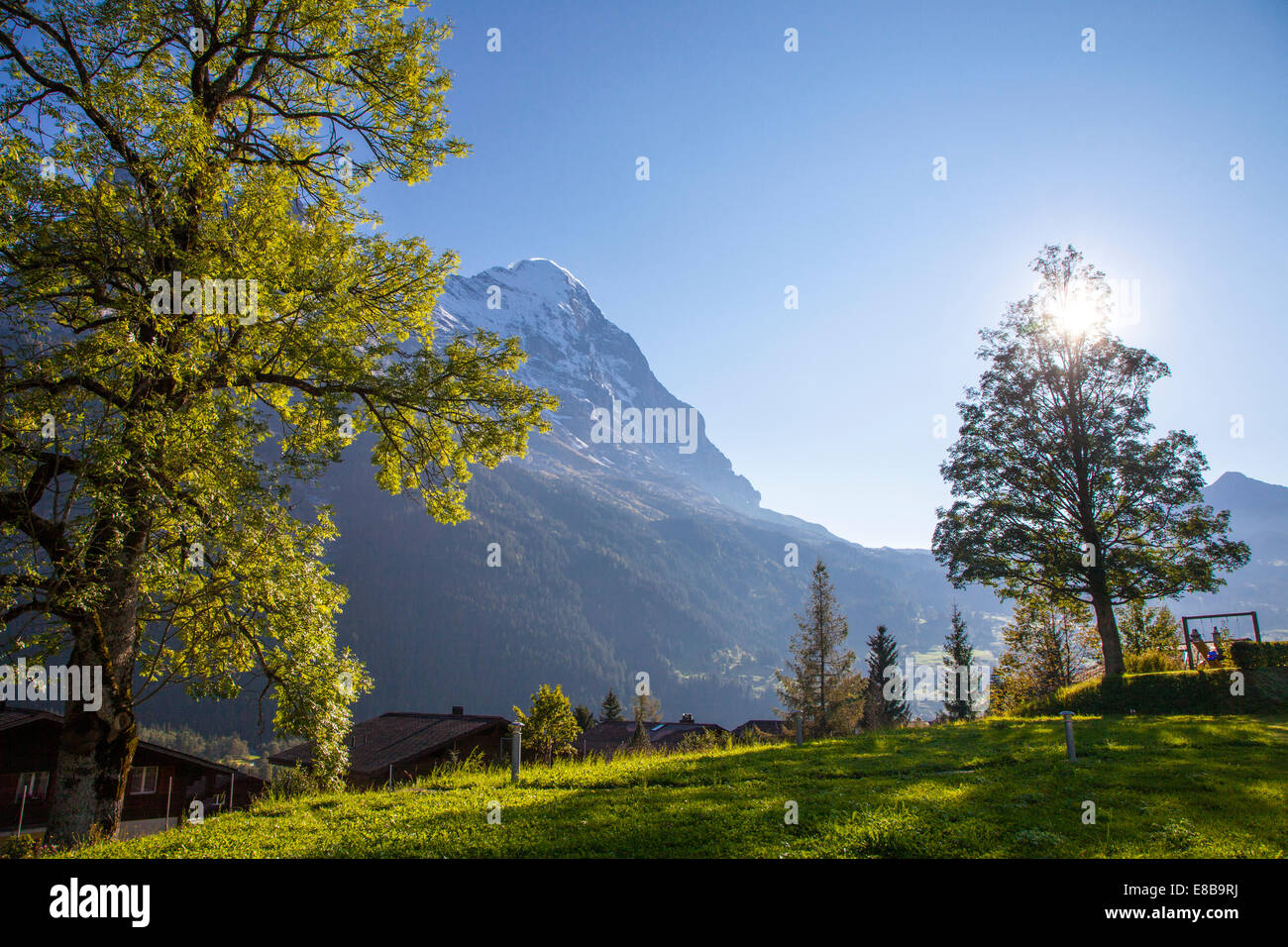 Nordwand des Eiger und Schweizer Wiese im Herbst, Grindelwald, Schweiz Stockfoto