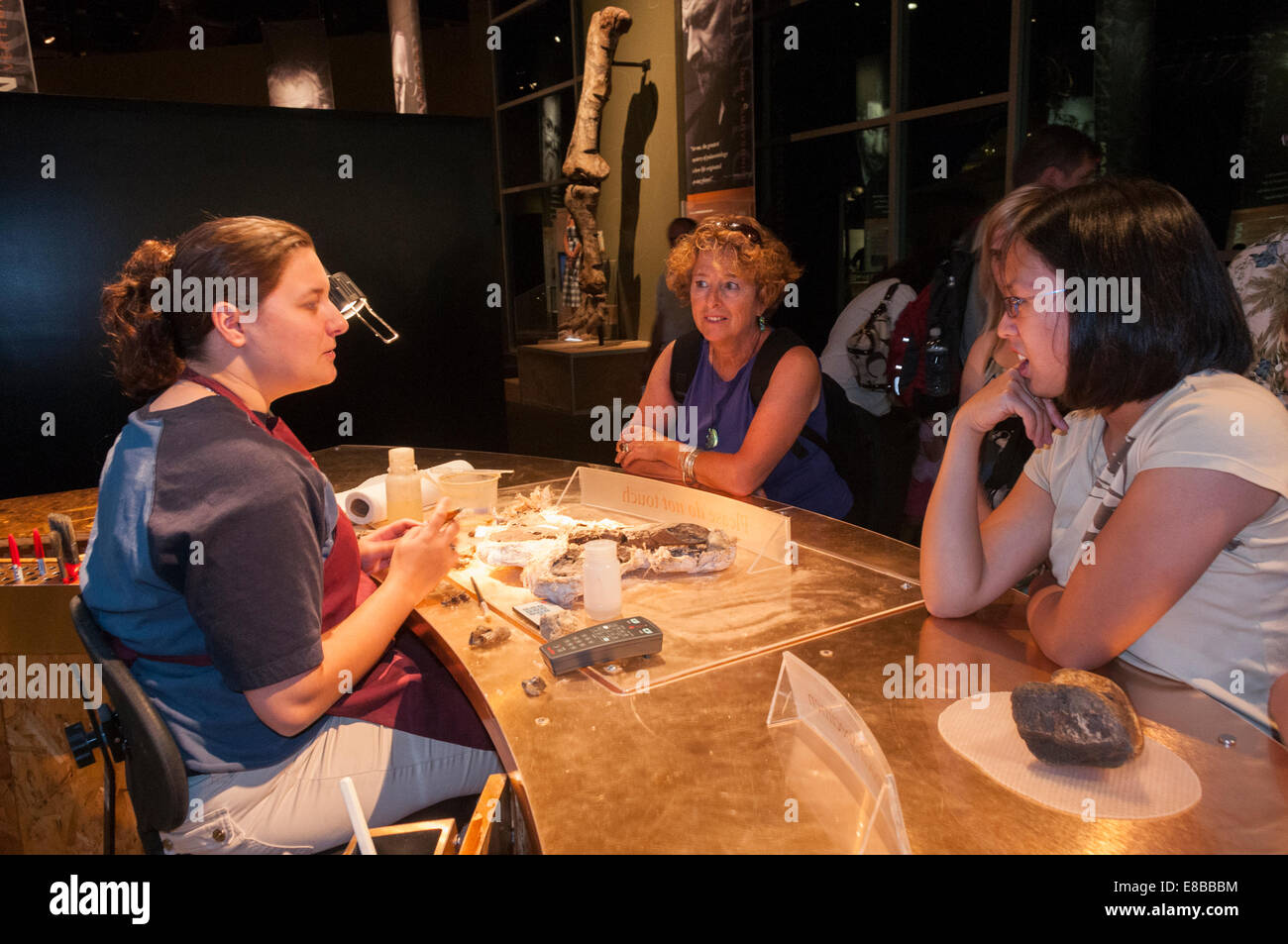 Elk203-6561 Kanada, Alberta, Drumheller, Royal Tyrrell Museum, fossilen Vorbereitung Stockfoto