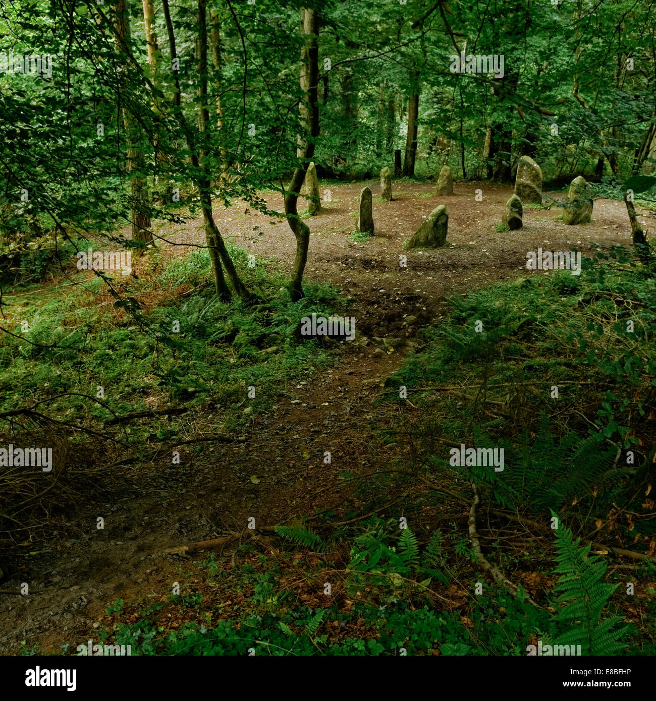 Ravensdale Stone Circle, County Louth, Irland – eine Nachbildung des 19. Jahrhunderts. Stockfoto