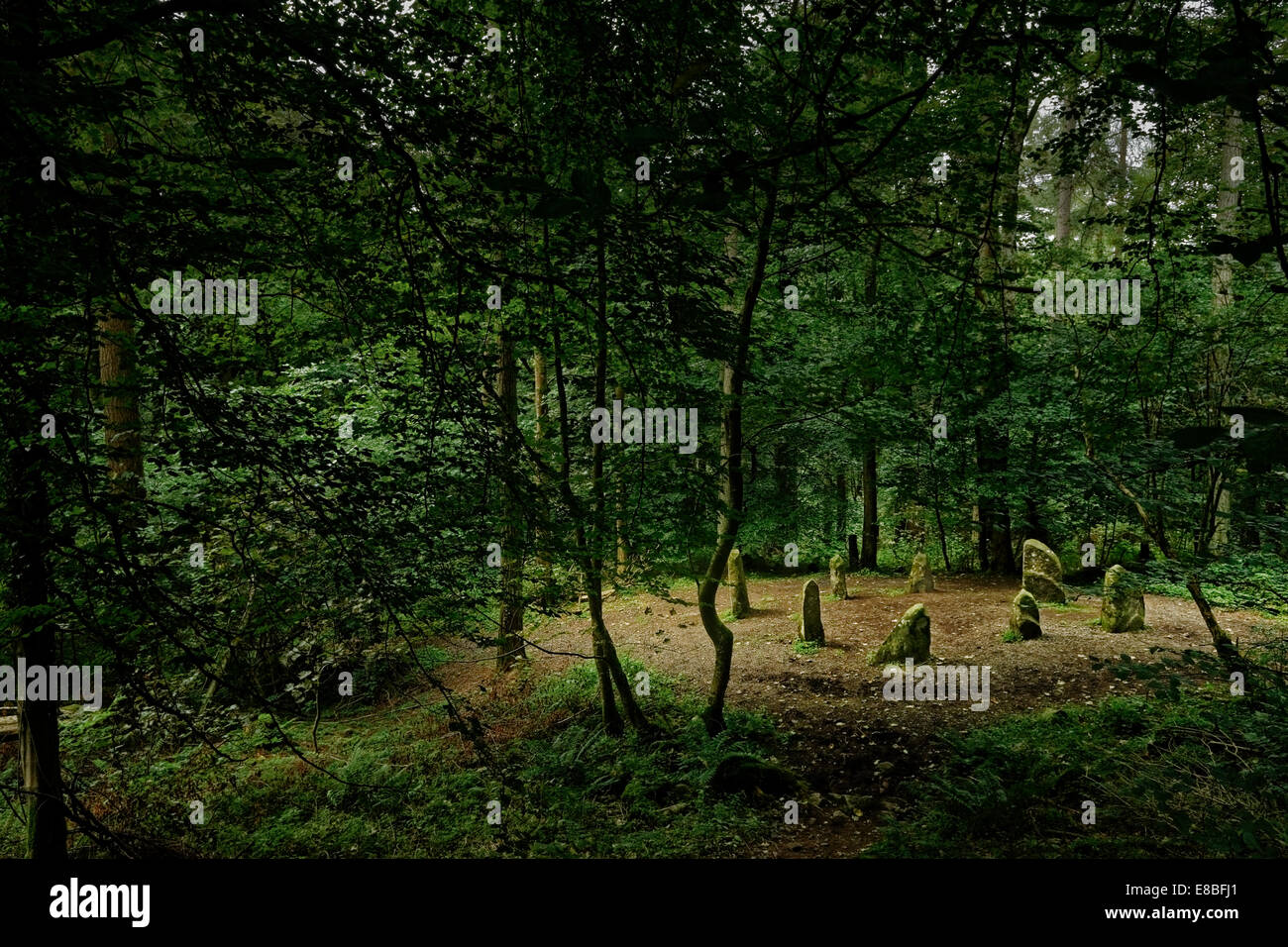 Ravensdale Stone Circle, County Louth, Irland – eine Nachbildung des 19. Jahrhunderts. Stockfoto