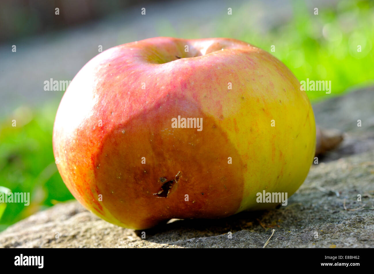 Fauler Apfel Stockfoto