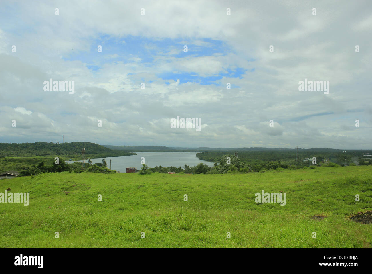 Grüner Teppich Stockfoto