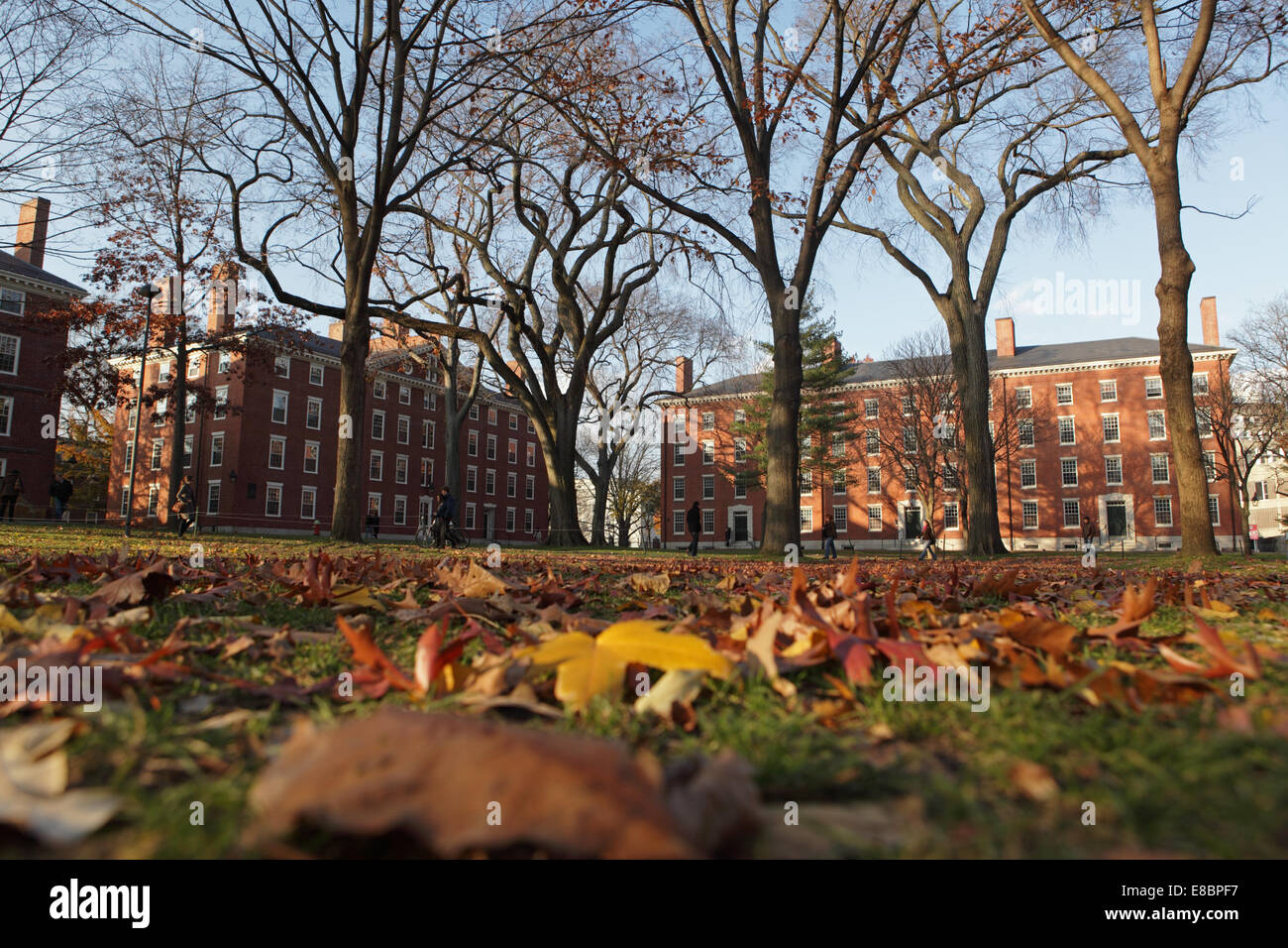 Blick auf den Campus der Harvard-Universität Stockfoto