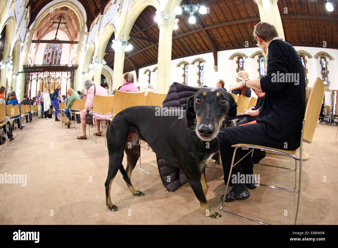 London, UK. 4. Oktober 2014. Tierischer Segen Service für World Animal Day, St.-Martins Kirche, London. Haustiere und ihre Besitzer besucht die tierischen Segen und Danksagung Jahresservice bei anglikanische Kirche St. Martin in Kensal Green, London, die unter dem Vorsitz wurde von Reverend Graham Noyce, die besondere Beziehung zu feiern, die Menschen mit den Tieren, die ihr Leben teilen. Bildnachweis: Paul Brown/Alamy Live-Nachrichten Stockfoto