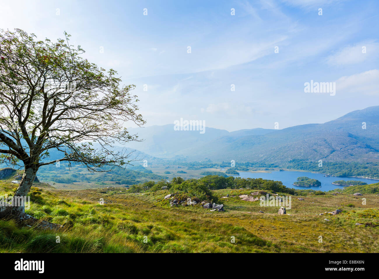 Die Seen von Killarney, gesehen vom Ladies View auf N71 Ring of Kerry, Killarney Nationalpark, County Kerry, Irland Stockfoto