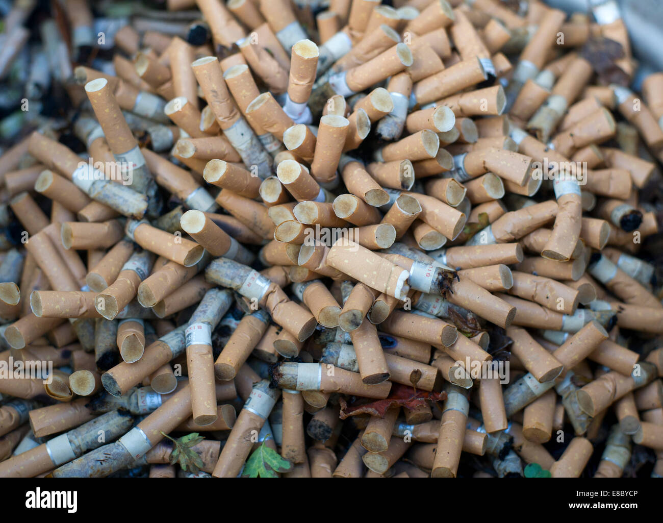 Ein Haufen von gebrauchten Zigarettenkippen Stockfoto