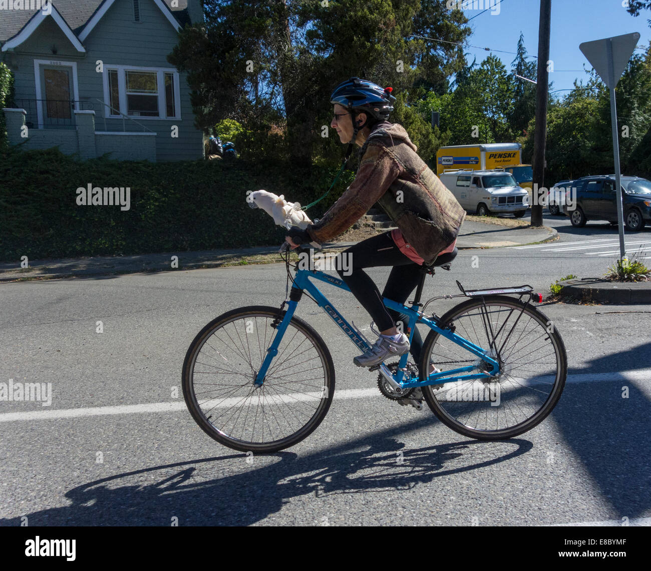 Frau mit weiße Kakadu oder Papagei Radfahren am Lenker des Fahrrads, Seattle, USA Stockfoto