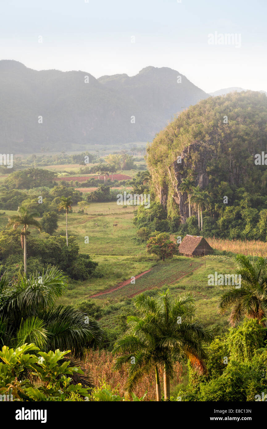 Mogotes in der Landschaft von Vinales, Provinz Pinar del Rio, Kuba Stockfoto