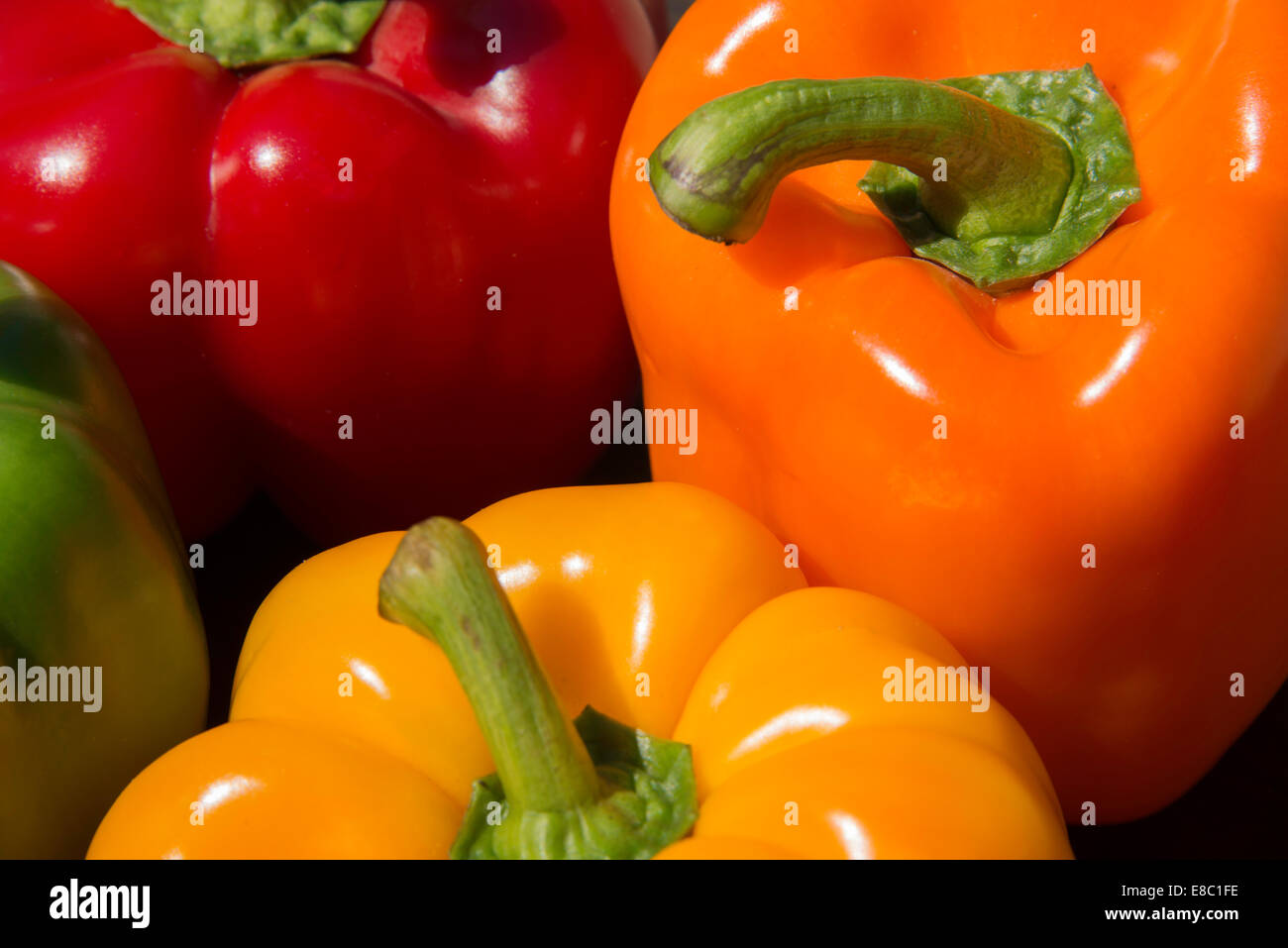 Druckvolle Farben für diese süßen Paprika Stockfoto