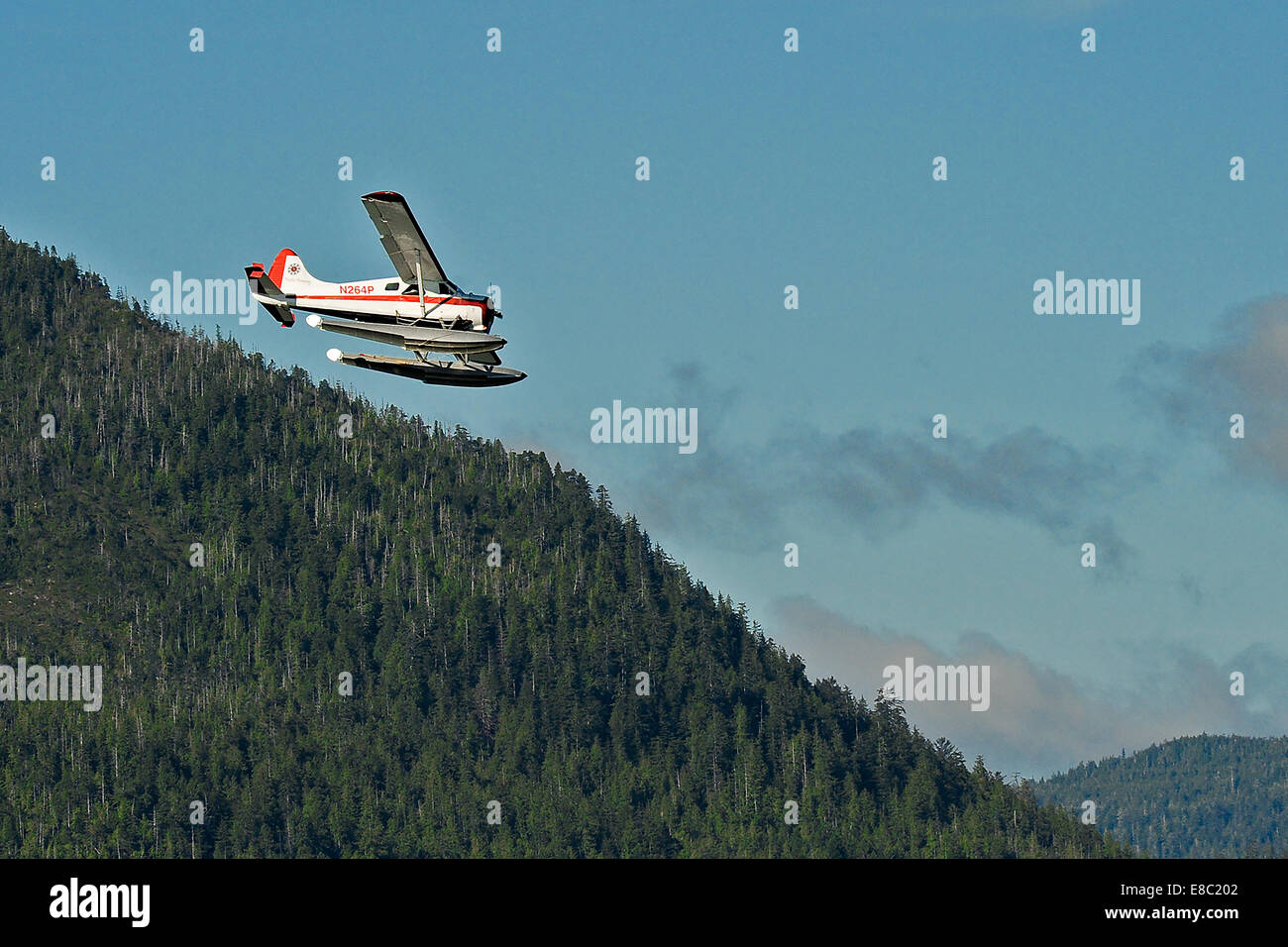 Ein Wasserflugzeug/Sea Plane kommt für eine Landung über der Baumgrenze in Ketchikan, Alaska. Stockfoto