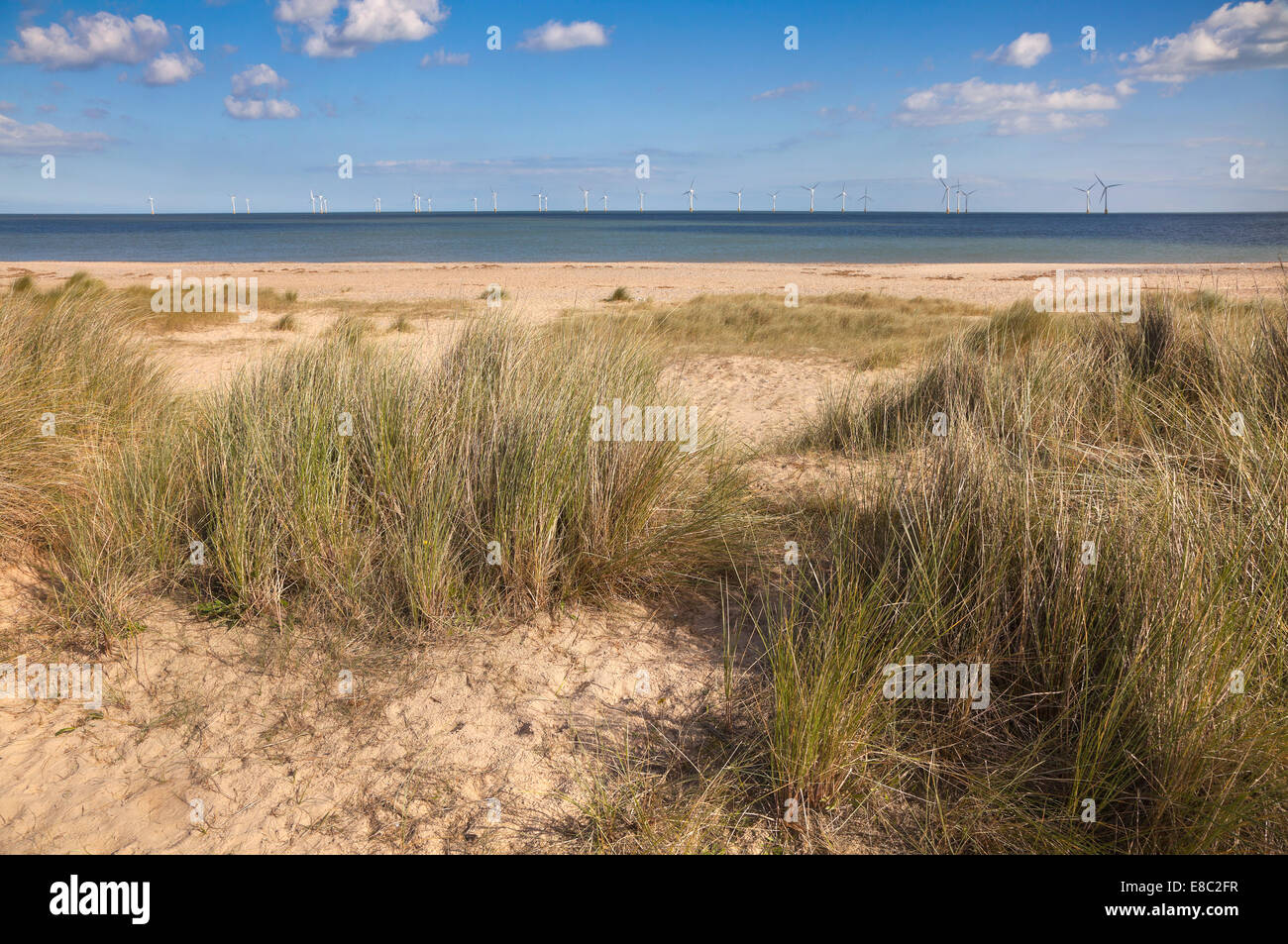 Windpark Scroby Sands am Horizont der North Norfolk Ostküste, UK. Sanddünen mit Dünengebieten Grass im Vordergrund Stockfoto