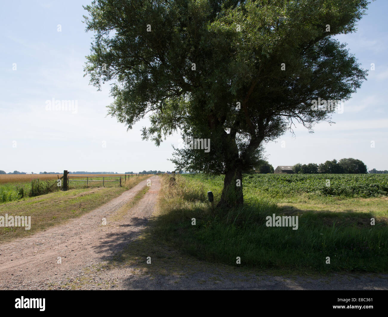 Landschaft in der Nähe von Pieterburen, Provence, Groningen, Niederlande Stockfoto