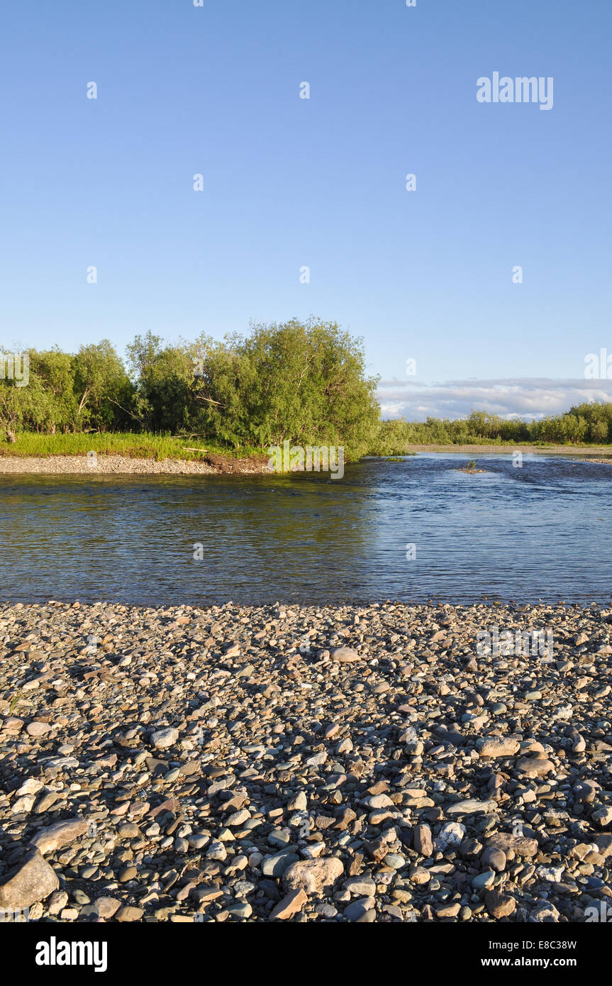 Die polaren Ural. Kiesel-Ufer. Nördlichen Flusslandschaft, sauberem Wasser und Umwelt Gnade. Stockfoto