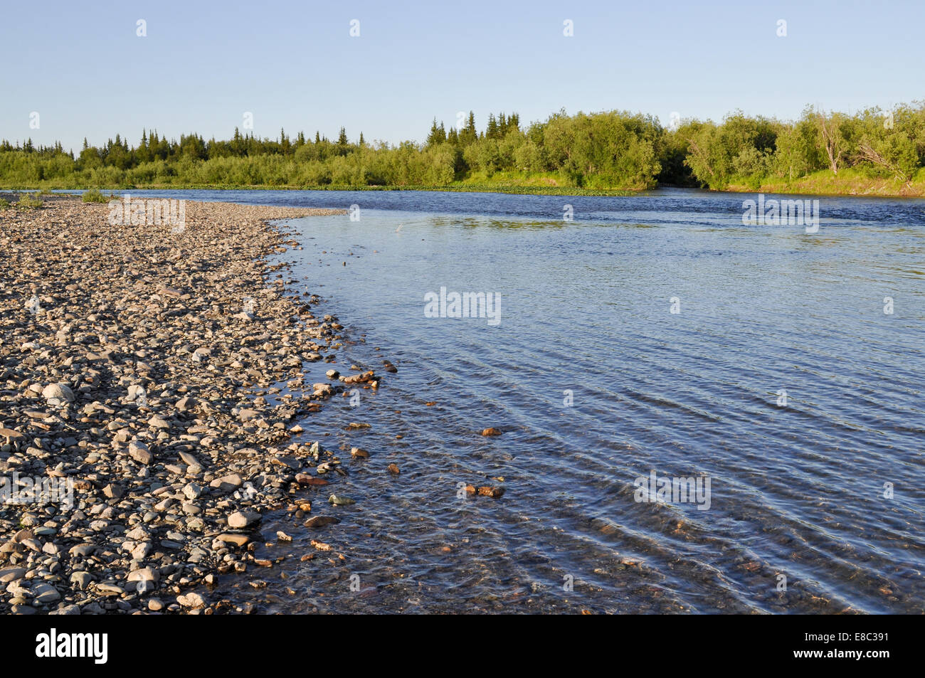 Der Ural-Fluss. Nördlichen Flusslandschaft, sauberem Wasser und Umwelt Gnade. Stockfoto