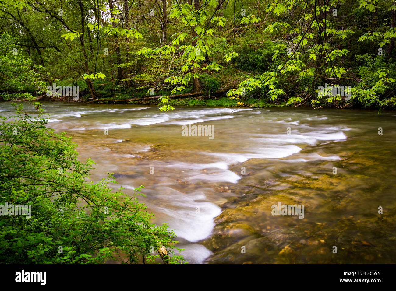 Wasserfälle am Fluss Conestoga in Lancaster County Central Park, Pennsylvania. Stockfoto