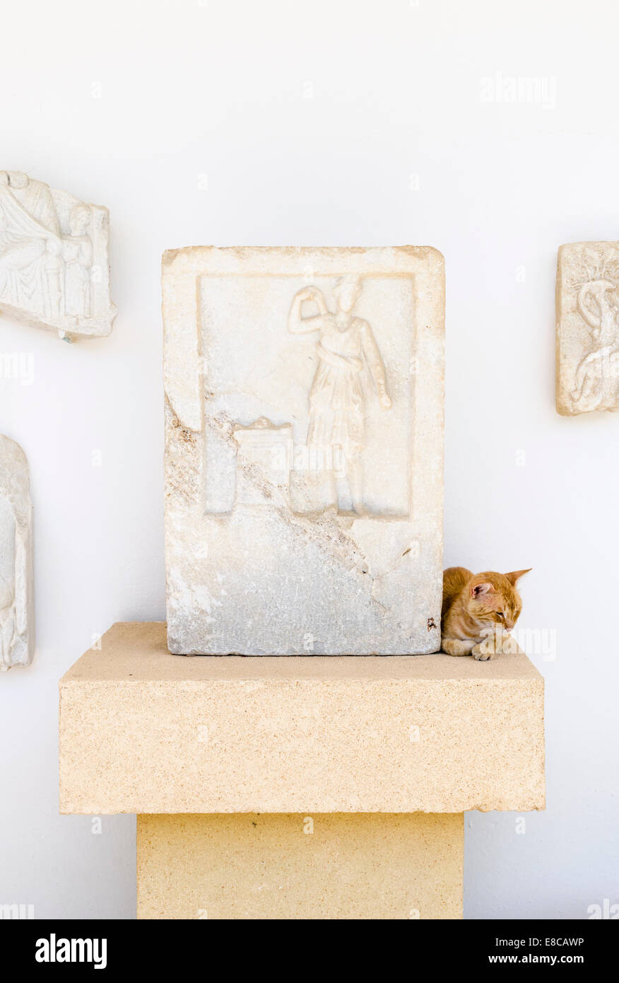 Detail eines sehnte Marmorrelief und Katze im archäologischen Museum von Paros, Griechenland Stockfoto