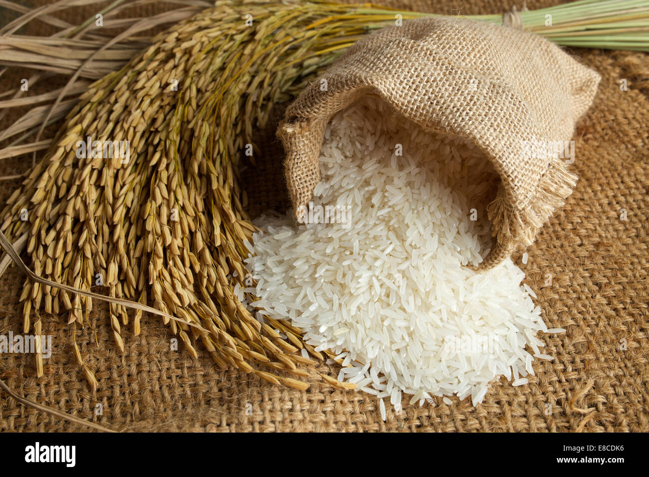 weißer Reis im Leinensack mit Reiskorn Stockfoto