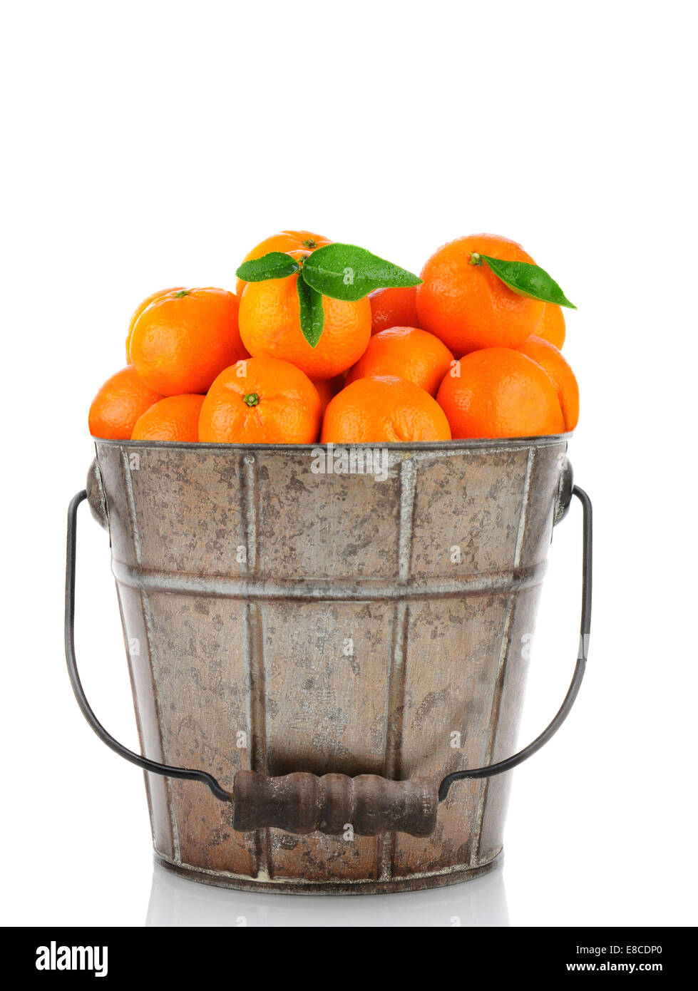 A, Antik Metall Eimer voll von Clementine Mandarinen. Hochformat über einen weißen Hintergrund mit Reflexion. Stockfoto