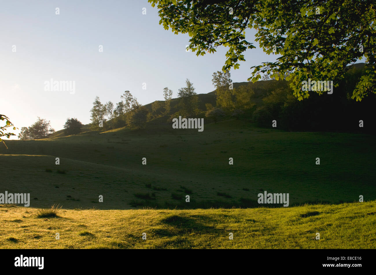 Buche und sonnenbeschienenen Hügeln der Seenplatte und Weide UK Stockfoto