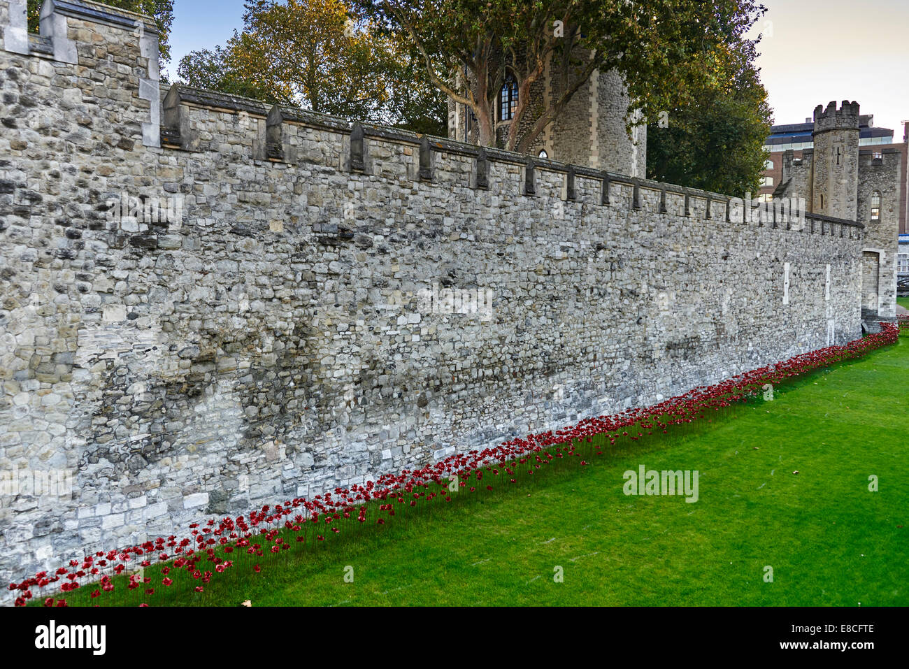 Tower of London Mohn im Burggraben HRP-Tower London-WW1-LogoFrom 5. August 2014, 11. November 2040 Stockfoto