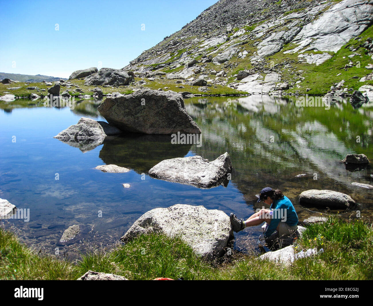 Dr. Erin Muths, eine Wissenschaftlerin der Amphibian Research and Monitoring Initiative (ARMI), führt Forschung an Fröschen an einer Feldstation am Mt. Evans, Colorado, durch, im Rahmen des ARMI-Programms, das sich auf die Überwachung und Erhaltung von Amphibienpopulationen konzentriert, als Reaktion auf den globalen Rückgang. Stockfoto