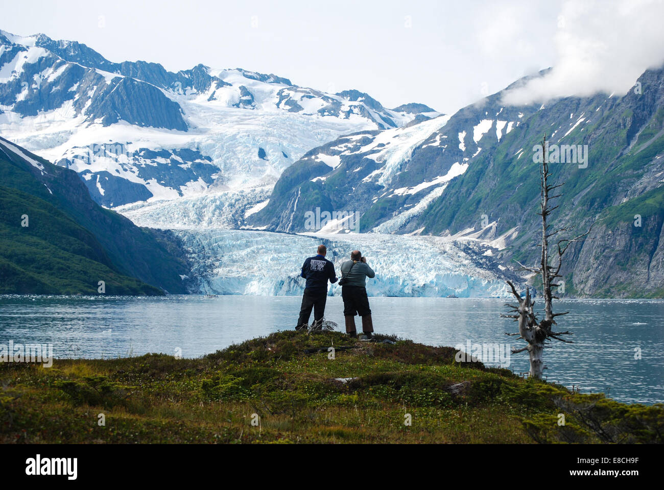Der Surprise Glacier, der sich in einer abgelegenen Region befindet, ist bekannt für seine landschaftliche Schönheit und eine bedeutende Rolle bei der Erforschung der Gletscherumwelt und des Klimawandels. Stockfoto