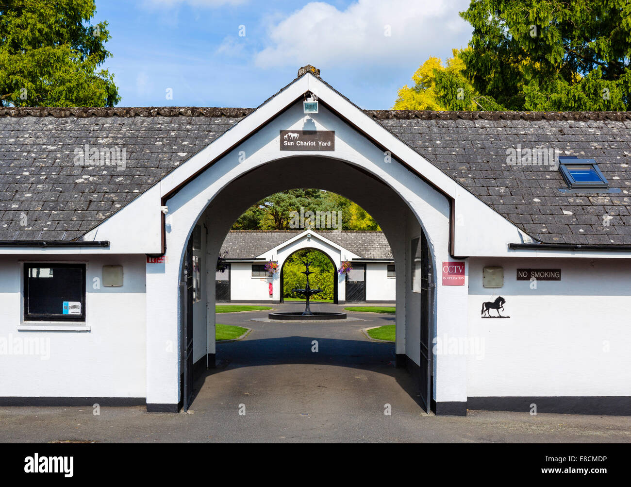 Sonne Chariot Hof an der Irish National Stud-Zuchtstätte, Tully, Kildare, County Kildare, Irland Stockfoto