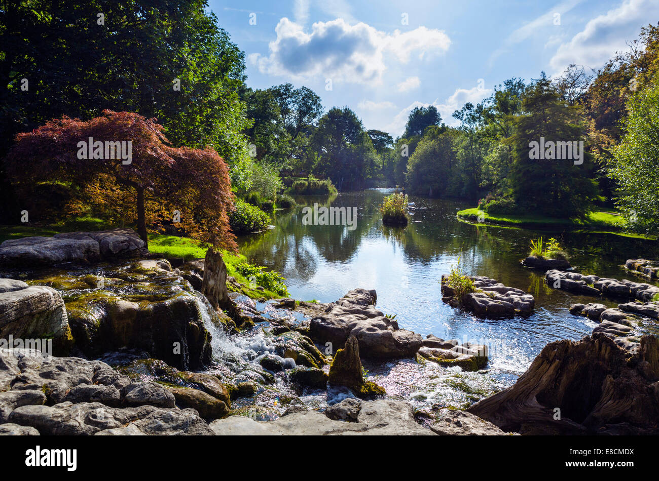 St. Fiachra Garten an der Irish National Stud-Zuchtstätte, Tully, Kildare, County Kildare, Irland Stockfoto