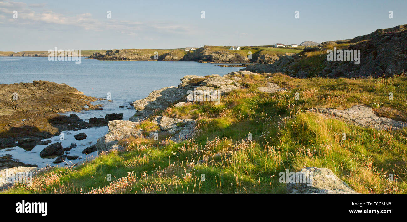Zerklüftete Küste im Norden von Trearddur Bay auf der westlichen Küste des Heiligen Insel Teil der Isle of Anglesey (Sir Yn Stockfoto