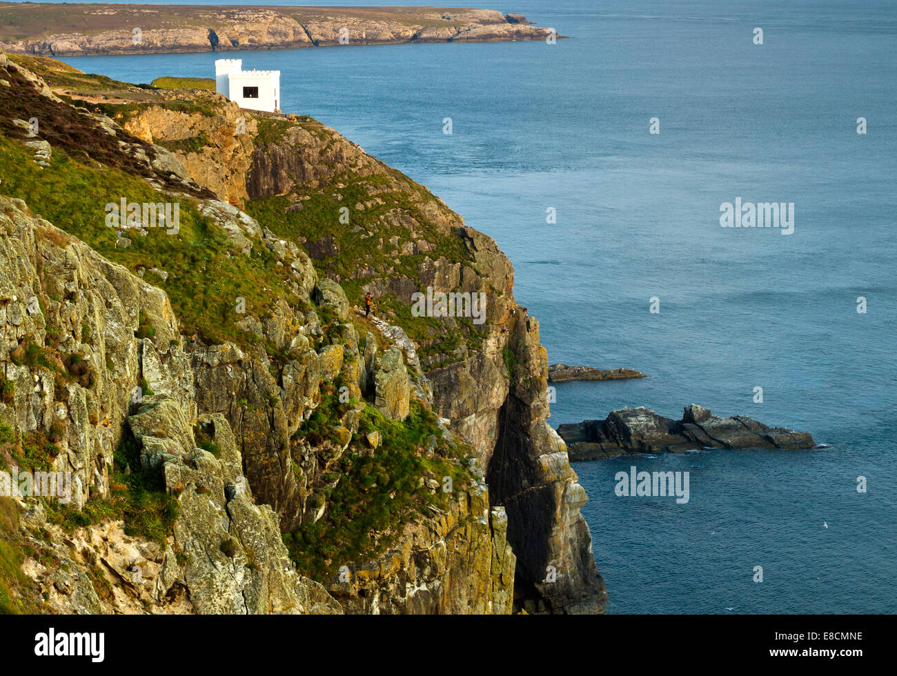 Ellins Turm RSPB auf der westlichen Küste des Heiligen Insel Teil der Isle of Anglesey (Sir Ynys Mon) North Wales UK im Sommer. Stockfoto