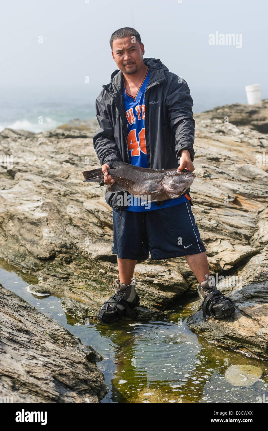 Ein Mann während seinen großen Fang ein Tautog Angeln auf der Küste von Point Judith, Rhode-Island hält auch bekannt als ein Blackfish. Stockfoto