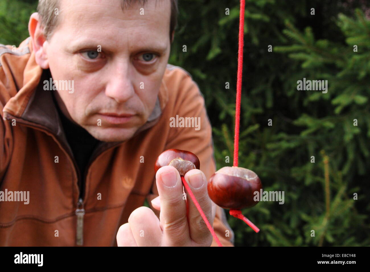 Ein Mann nimmt Ziel während eines Spiels der Conkers, England, UK - Herbst Stockfoto