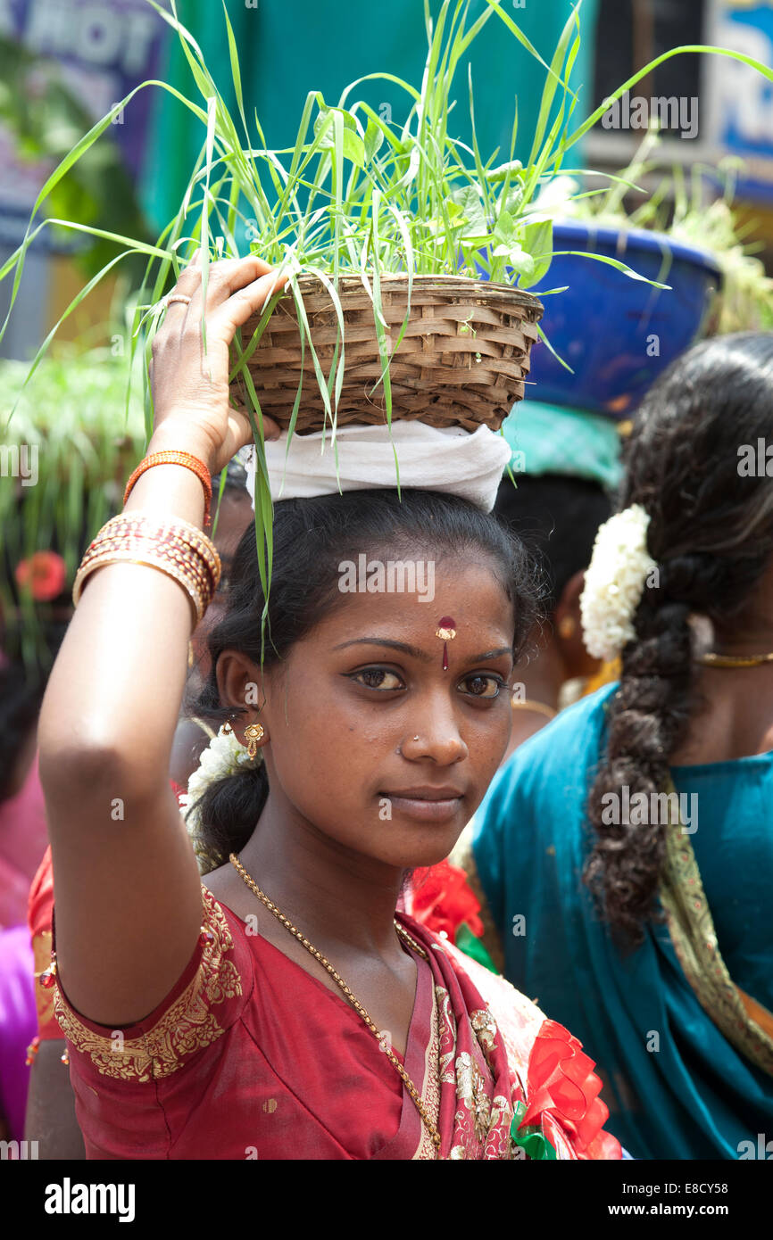 Blumenfest Coonoor in der nilgiri Bezirk von Tamil Nadu, Indien Stockfoto