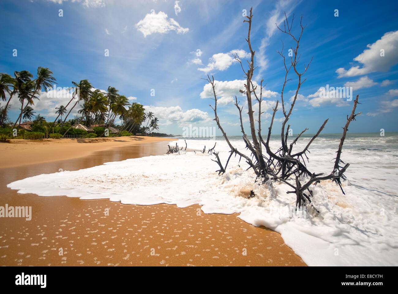 tropischer Strand in Tangalla Sri lanka Stockfoto