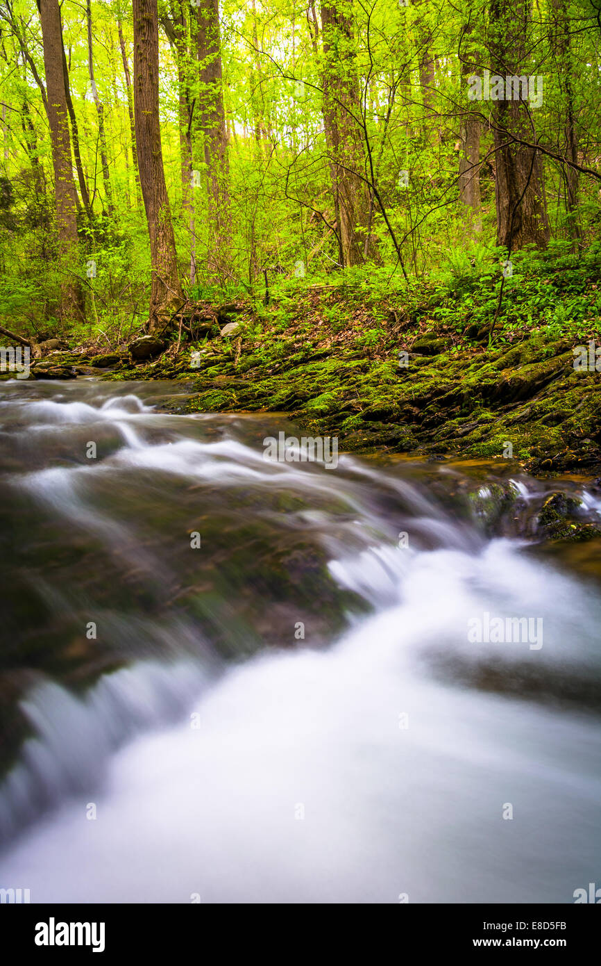 Kaskaden auf einen Stream in Holtwood, Pennsylvania. Stockfoto