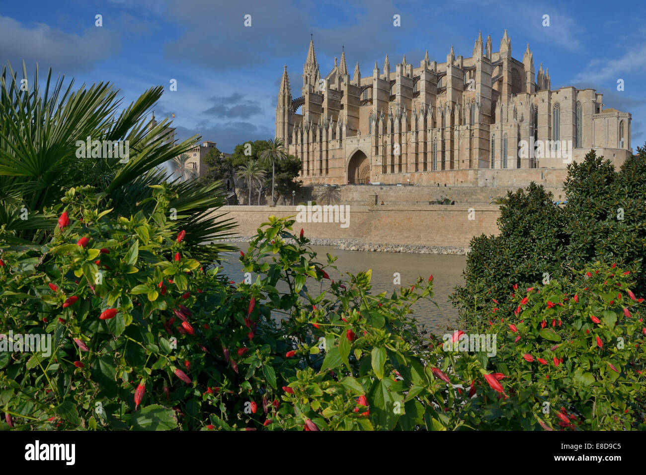 Kathedrale La Seu, Kathedrale von Palma, Palma, Mallorca, Balearen, Spanien Stockfoto