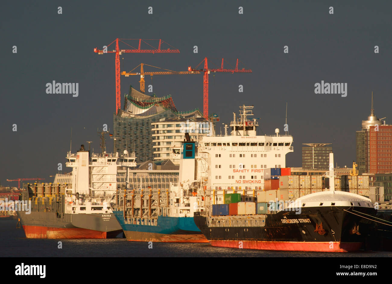 Schiffe im Hamburger Hafen vor Anker in der Norderelbe, Elbphilharmonie und der Marco Polo Tower in den Rücken, Hamburg Stockfoto